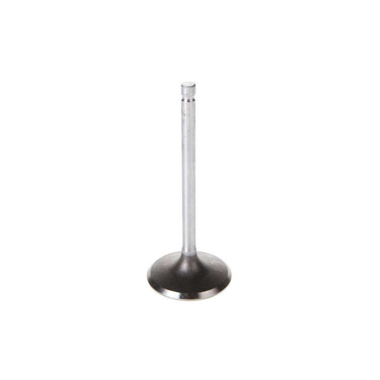 V5169 Stock Replacement Intake Valve