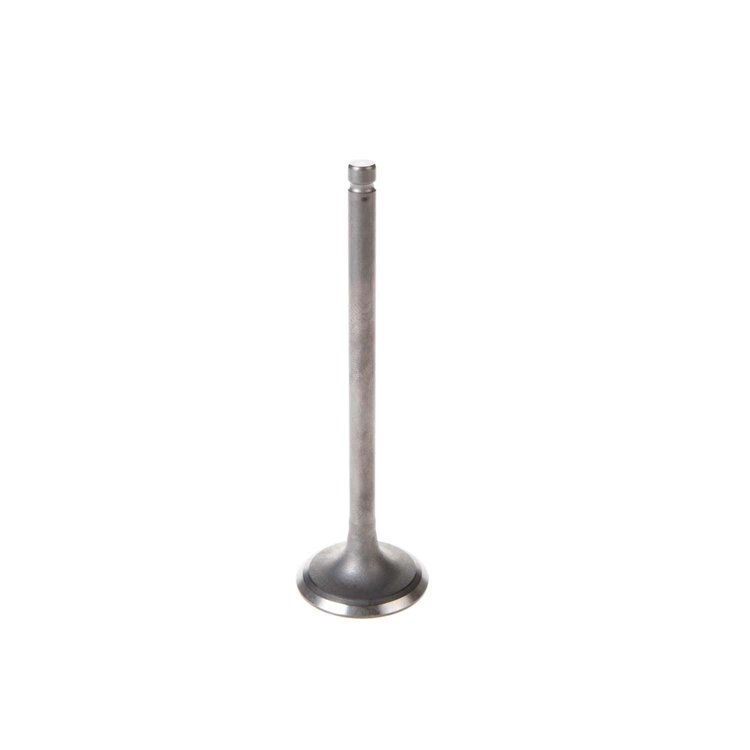 V5176 Stock Replacement Intake Valve