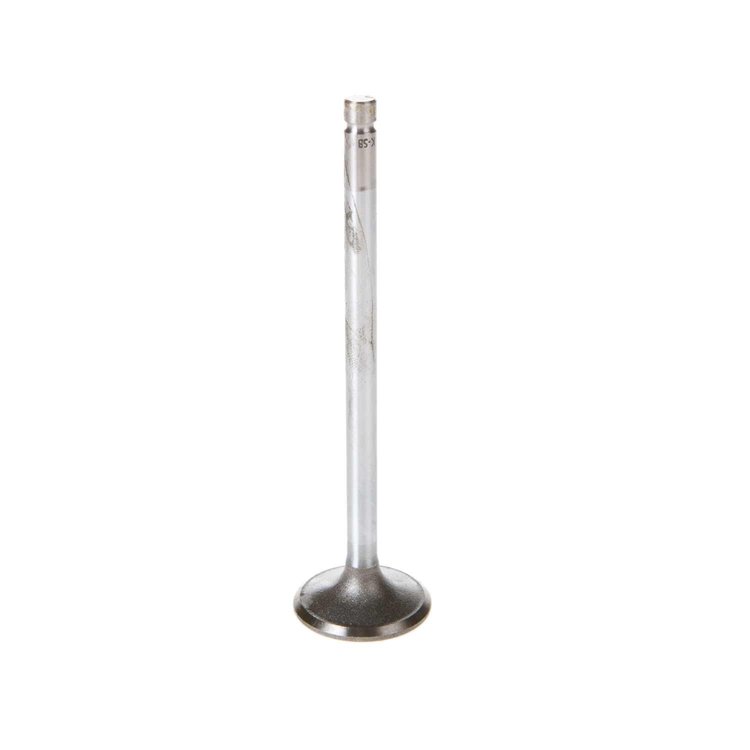 V5186 Stock Replacement Intake Valve