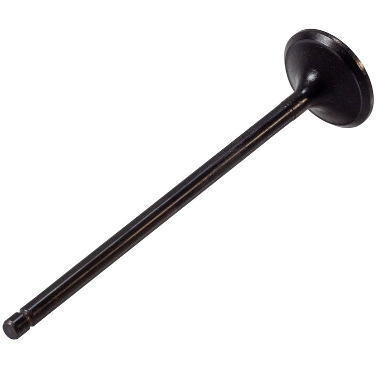 V5198 Stock Replacement Exhaust Valve