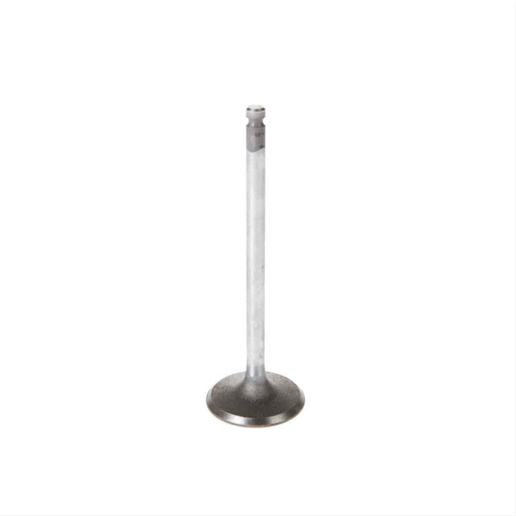 VALVE-INTAKE