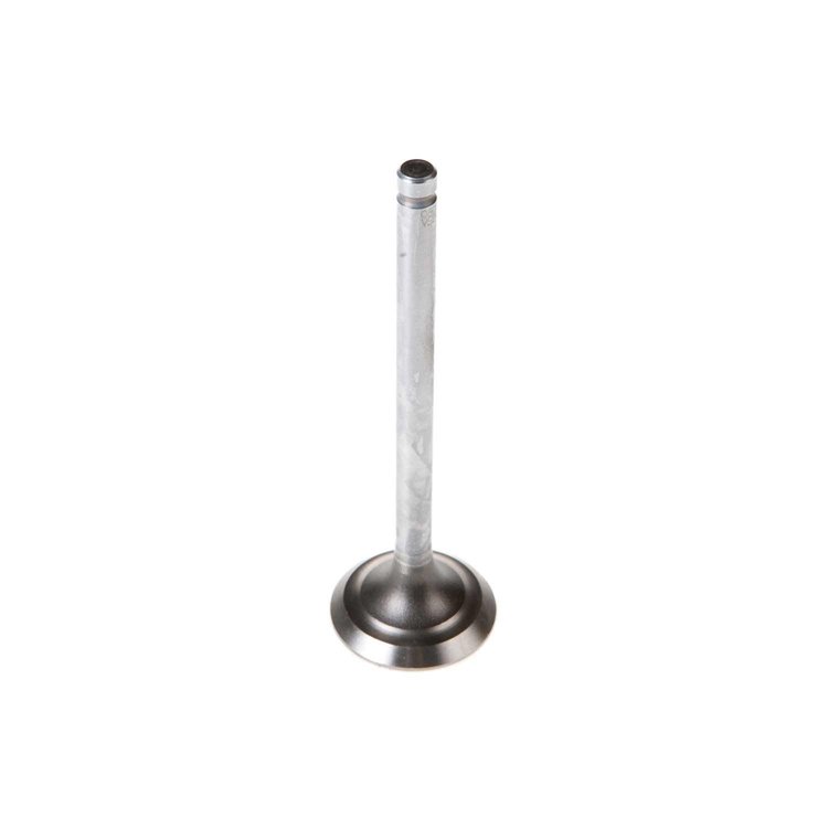 V5246 Stock Replacement Exhaust Valve