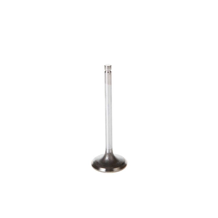 V5257 Stock Replacement Intake Valve