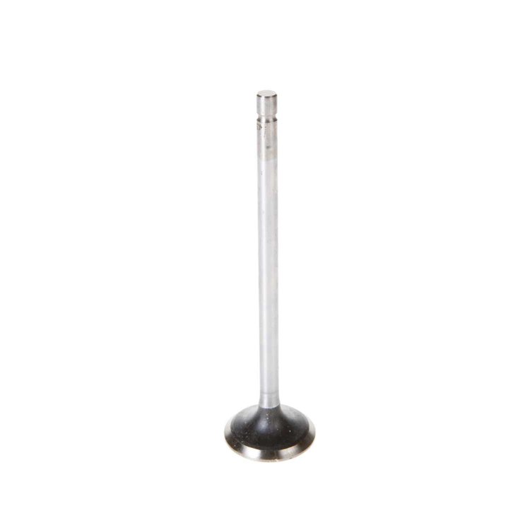 Engine Intake Valve for Nissan Pulsar NX, Sentra 1989-1990 [Stainless Steel]
