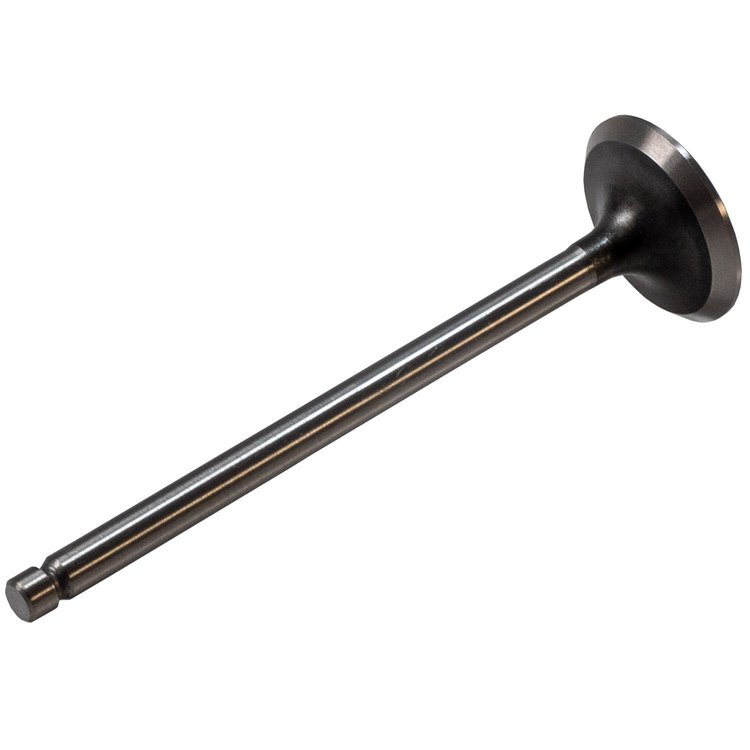 V5273 Stock Replacement Intake Valve