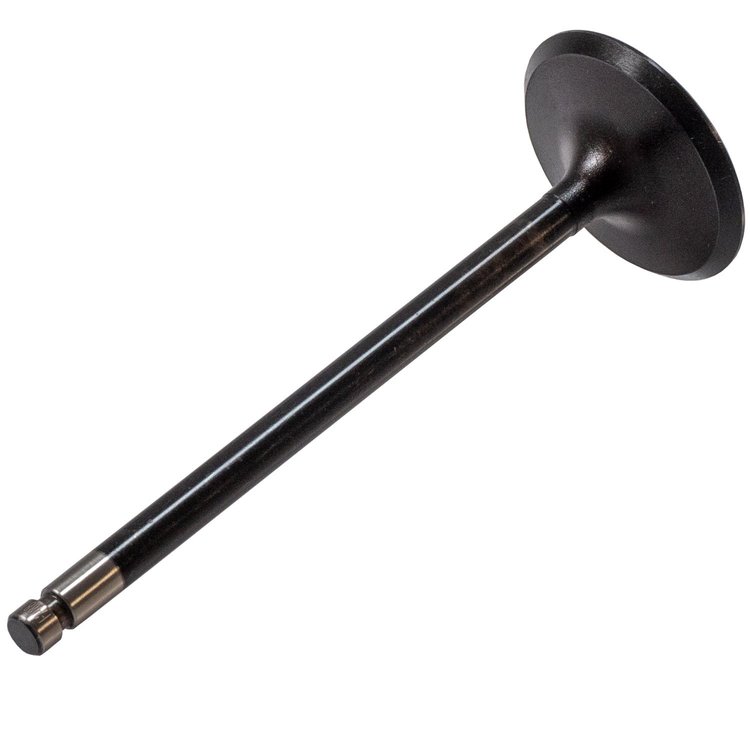 V5281 Stock Replacement Intake Valve