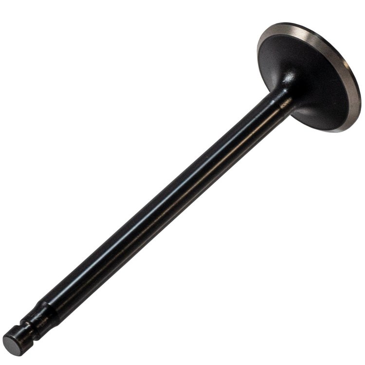 V5282 Stock Replacement Exhaust Valve