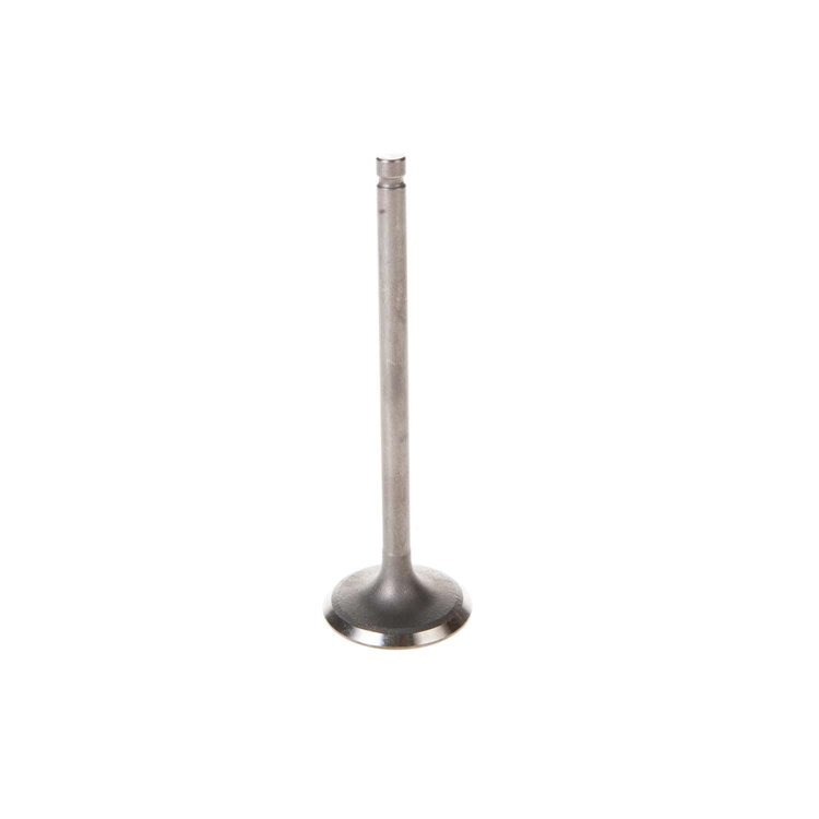 V5318 Stock Replacement Intake Valve