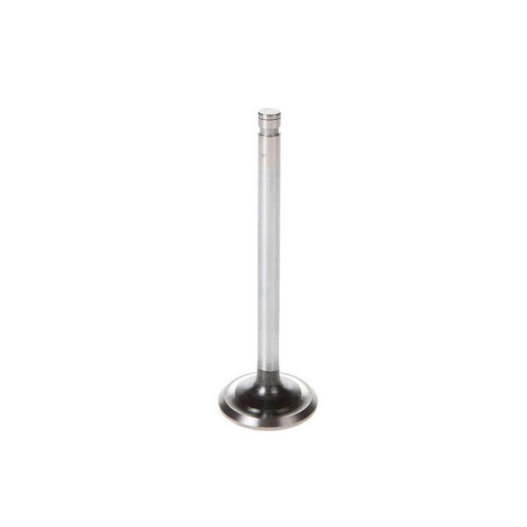 V5331 Stock Replacement Exhaust Valve