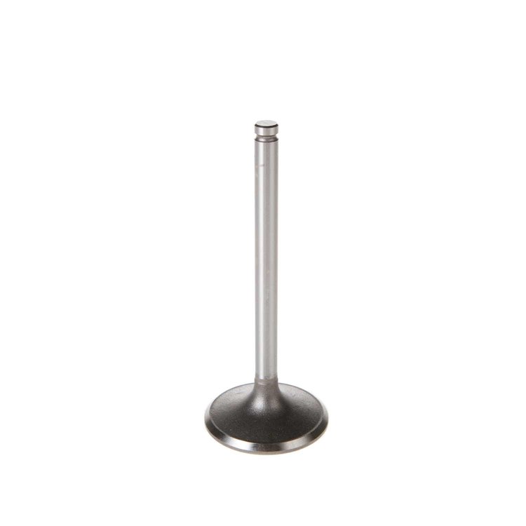 V5344 Stock Replacement Intake Valve