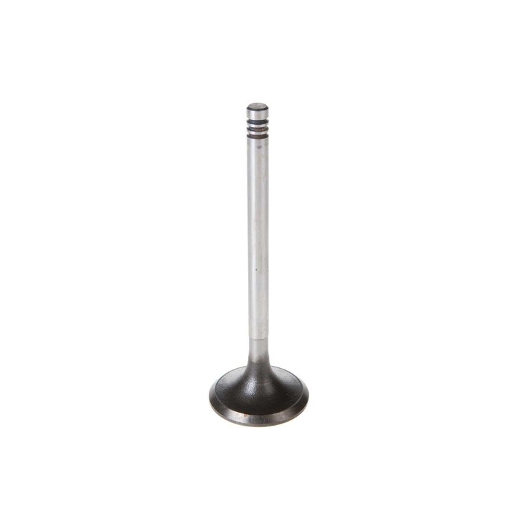 V5348 Stock Replacement Intake Valve