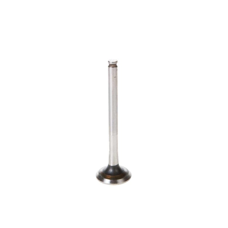 V5369 Stock Replacement Exhaust Valve