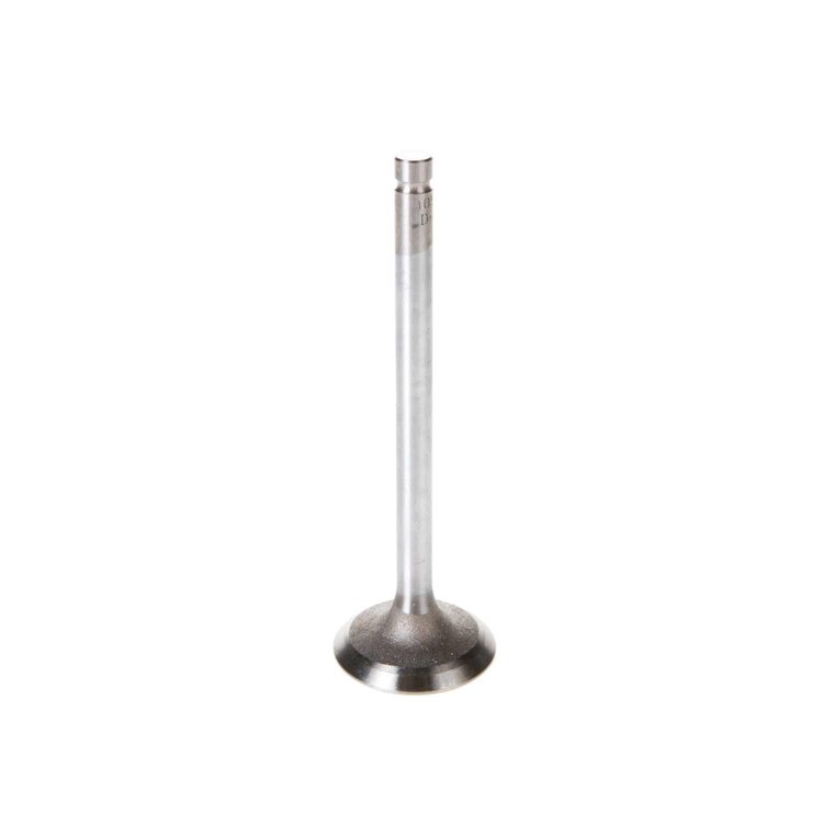 V5520 Stock Replacement Intake Valve