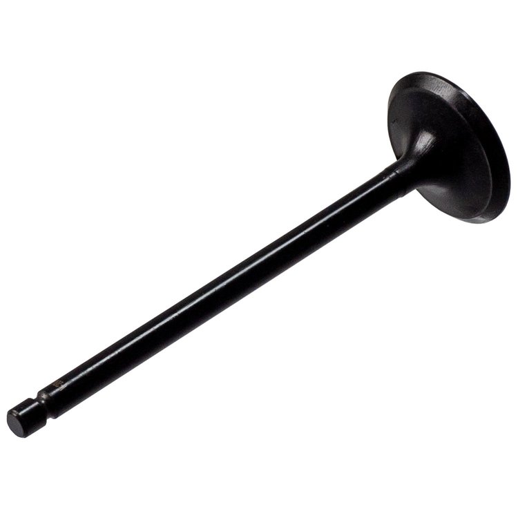 V5534 Stock Replacement Intake Valve