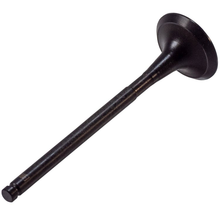 V5553 Stock Replacement Exhaust Valve