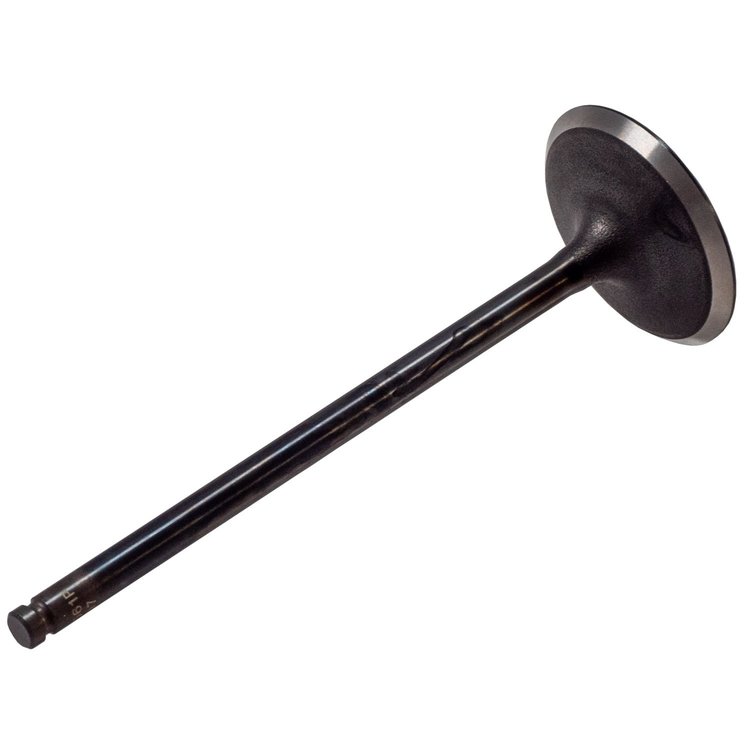 V5561 Stock Replacement Intake Valve Acura, Honda 2.4L