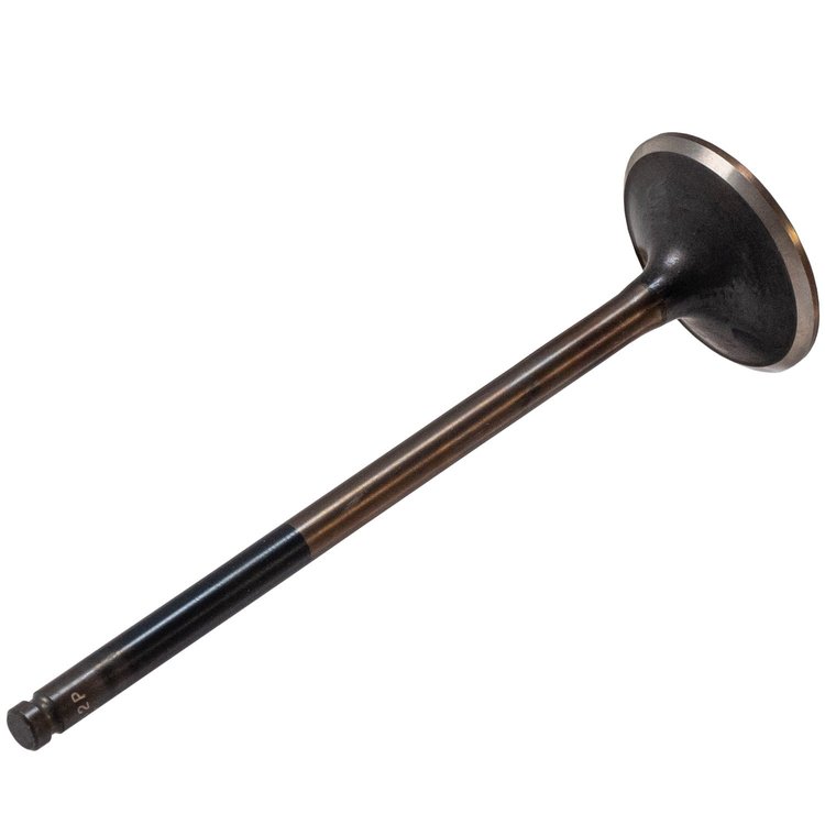 V5562 Stock Replacement Exhaust Valve Acura, Honda 2.4L