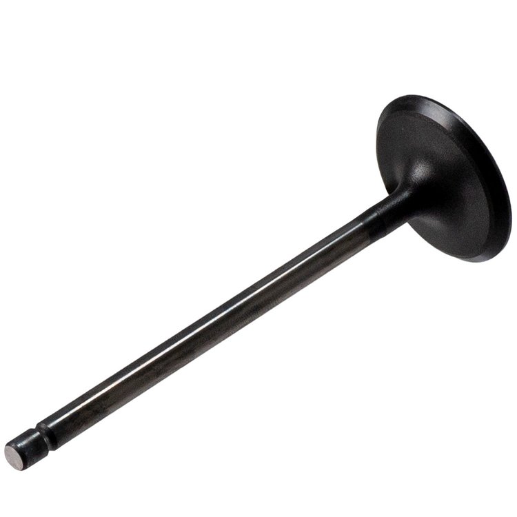 V5565 Stock Replacement Intake Valve Hyundai, Kia 1.8L, 2.0L