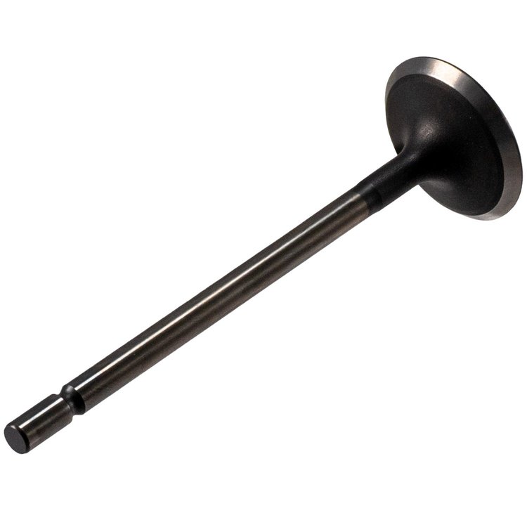 V5568 Stock Replacement Intake Valve Hyundai, Kia 2.7L