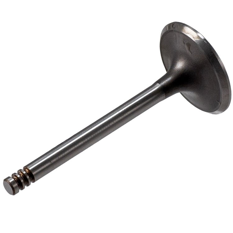 V5733 Stock Replacement Intake Valve Audi, Volkswagen 2.0L, 2.8L