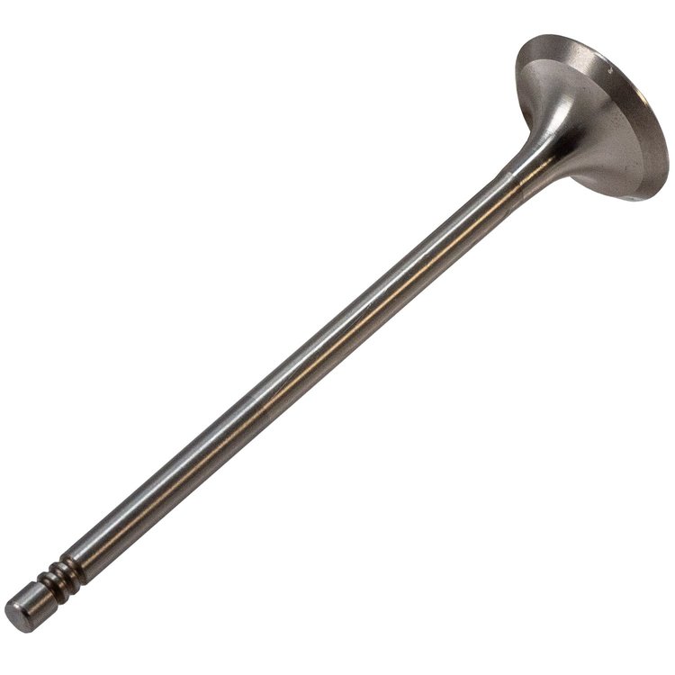 V5809 Stock Replacement Exhaust Valve Mini 1.6L