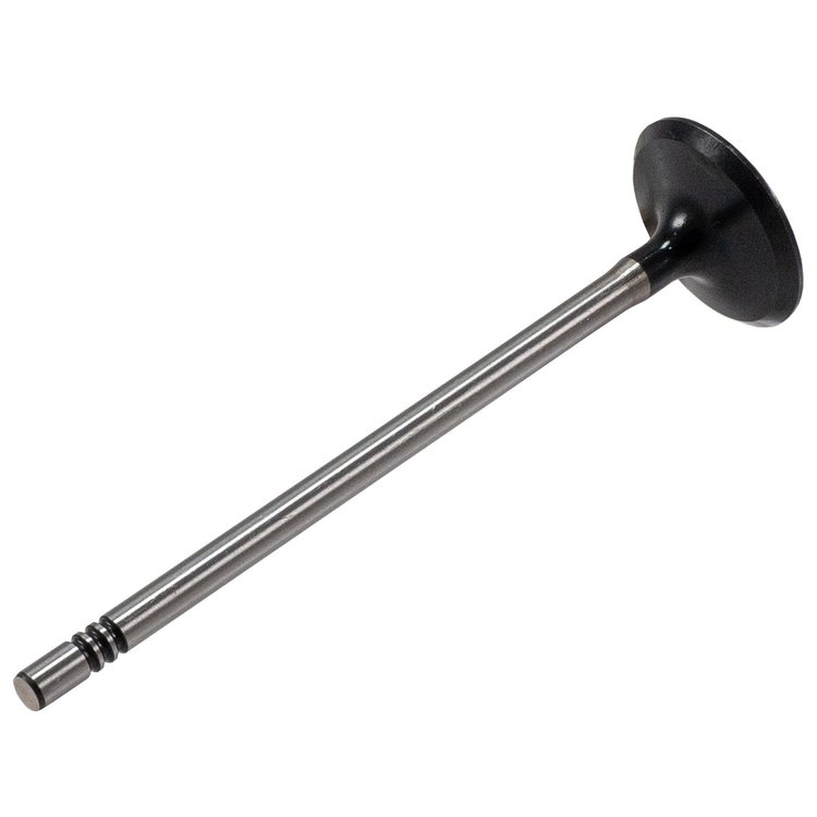 V5819 Stock Replacement Intake Valve