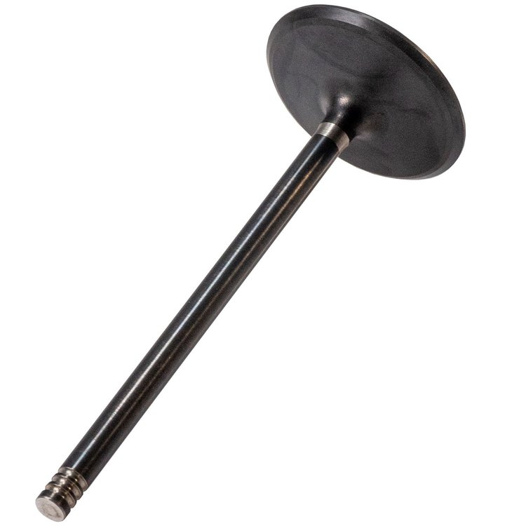 V5829  Intake Valve for 2020-2022 Ford F-250, F-350, F-450, F-550 7.3L OHV Engines