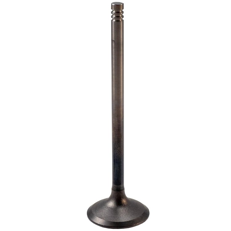 V5830 Exhaust Valve Fits Select Ford F-250, F-350, F-450, F-550, F-53 6.8L/7.3L OHV Engines