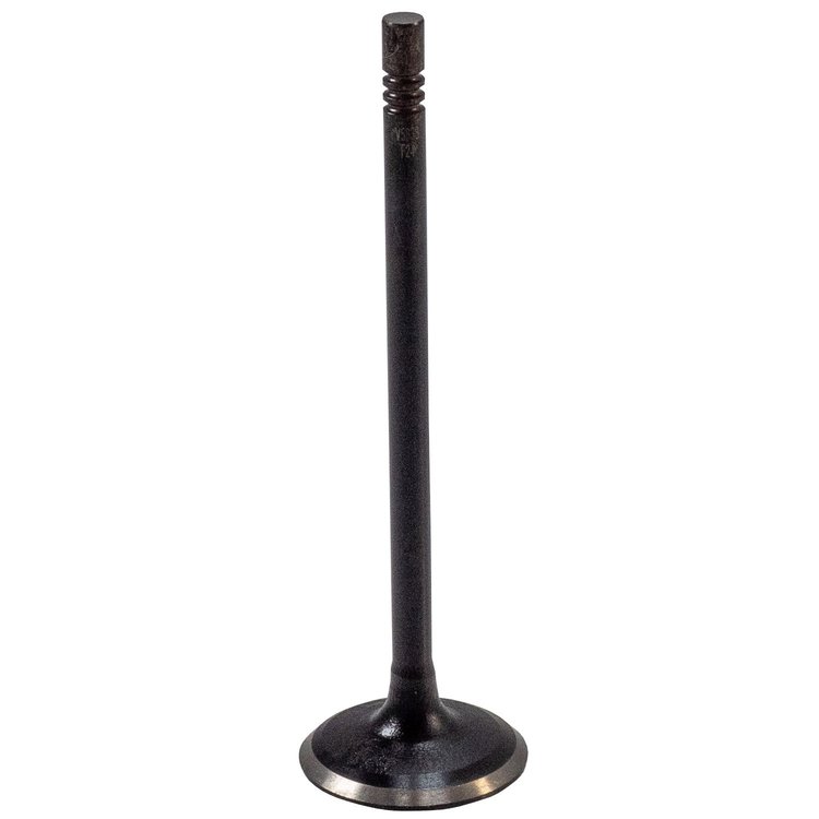V5838 Stock Replacement Intake Valve Ford 1.5L