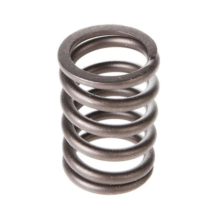 VS-1060 Valve Spring