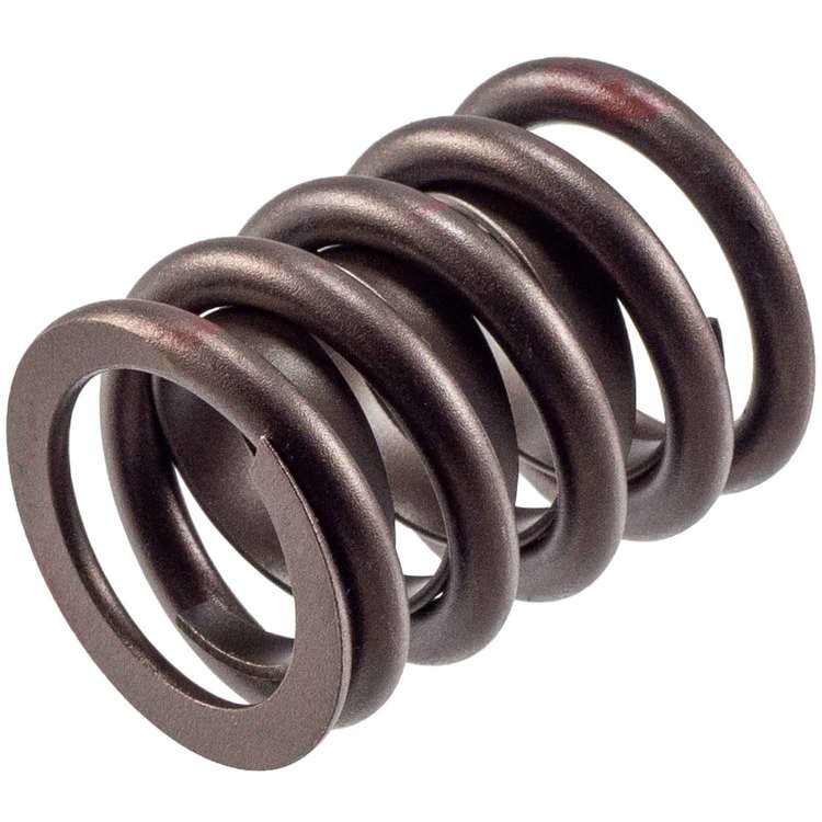 VS-1120 Valve Spring