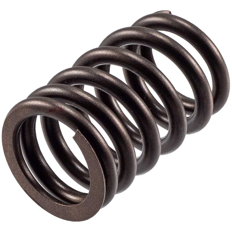 VS-1298 Valve Spring