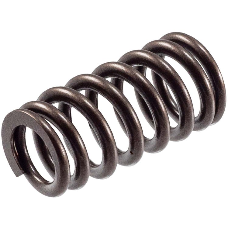 VS-2484 Stock Replacement Valve Spring Ford 4.6L, 5.4L, 6.8L