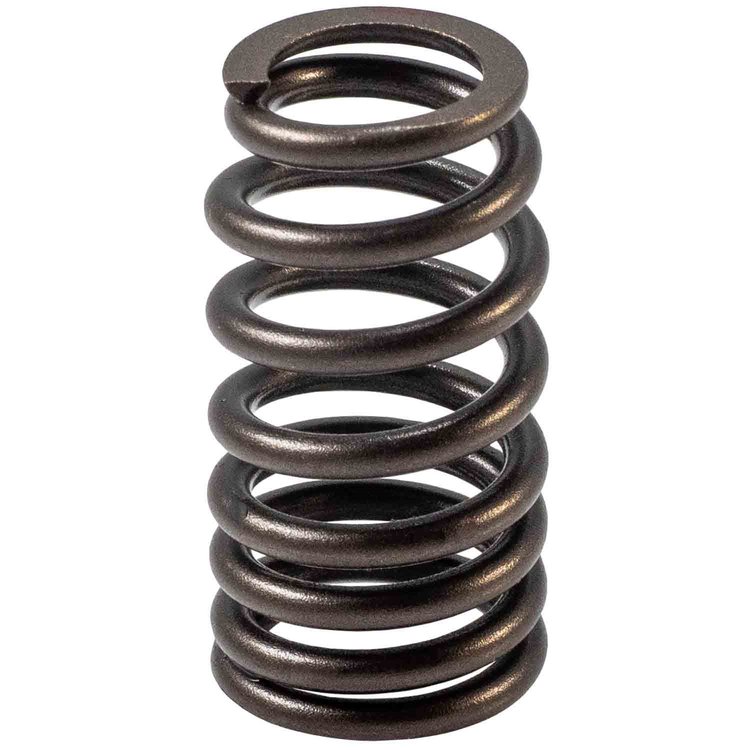 VS-2496 Valve Spring fits 2019-2023 Ford Models w/2.0L, 2.3L, 2.5L Engines