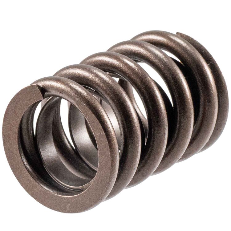 Valve Spring