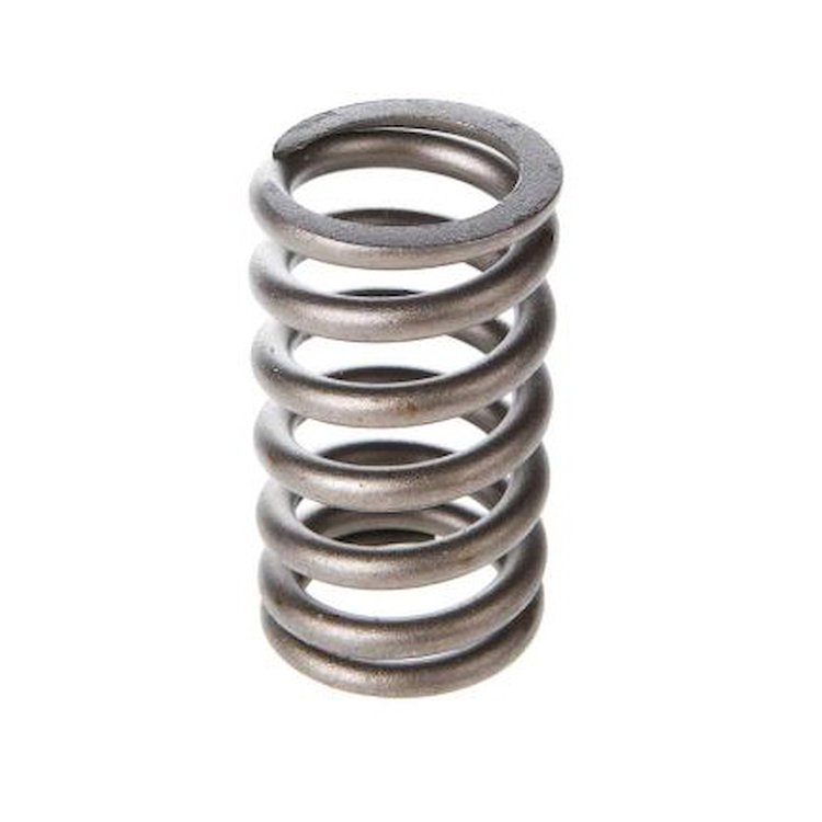 VS-500 Valve Spring