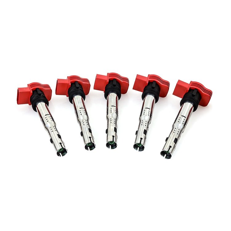 VW/AUDI IGNITION COIL SET