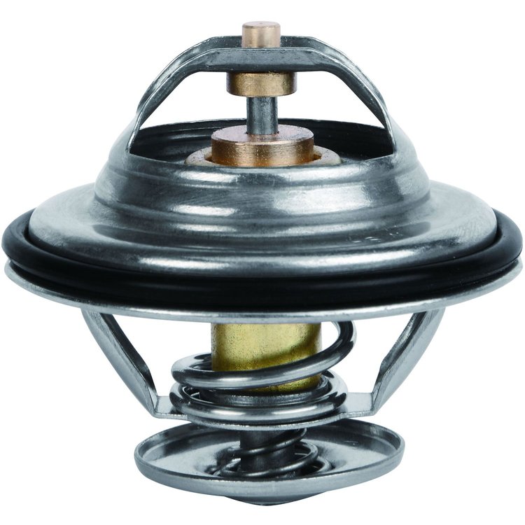 Racing Thermostat
