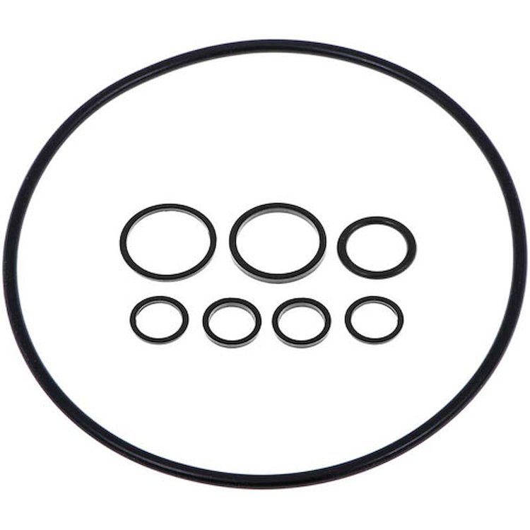 Power Steering Pump O-Ring Seal Kit Saginaw Pump