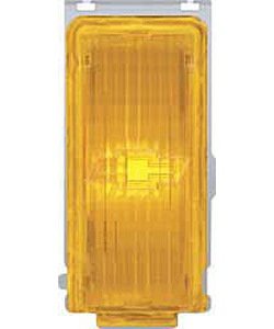 913402 Park Lamp Lens And Housing 1977-1978 Nova; With Bow Tie; Passenger Side