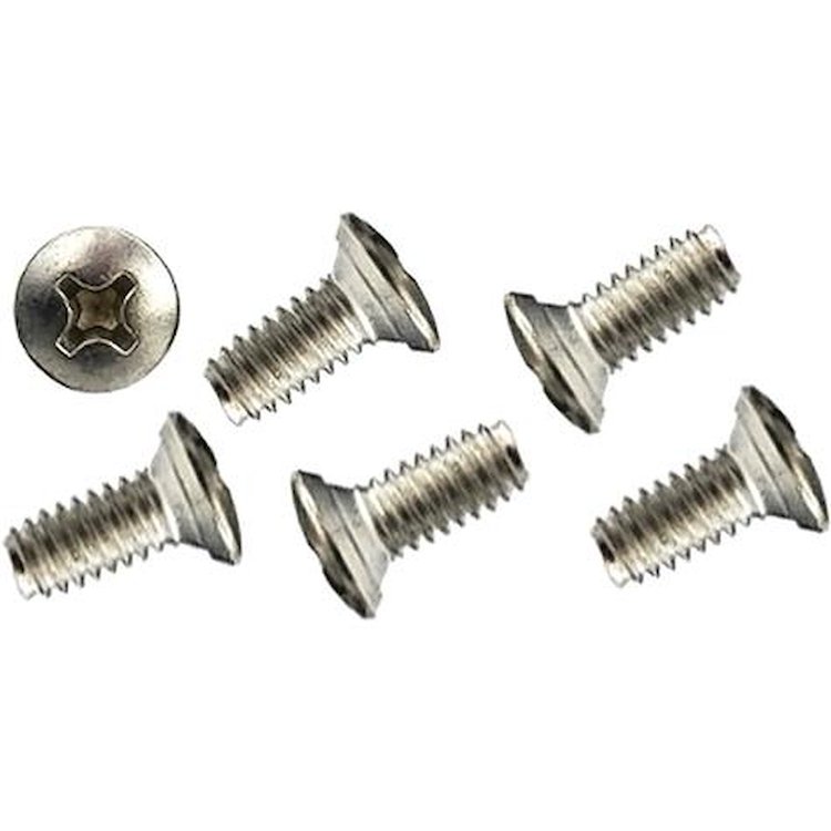 B12527 1947-81 GM, Door Latch Mechanism Screw Kit, 1/4-20 X 5/8" Phillips Oval Head, Stainless Steel, 6 Piece Set
