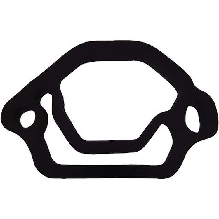 CW10346F 1969-69 Pontiac Firebird; Lower Pan; Foam Seal; Ram Air IV