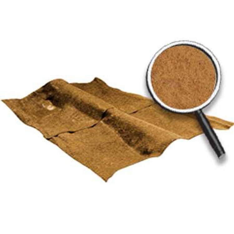 Superior Cut Pile Carpet 1968-79 Nova/Chevy II