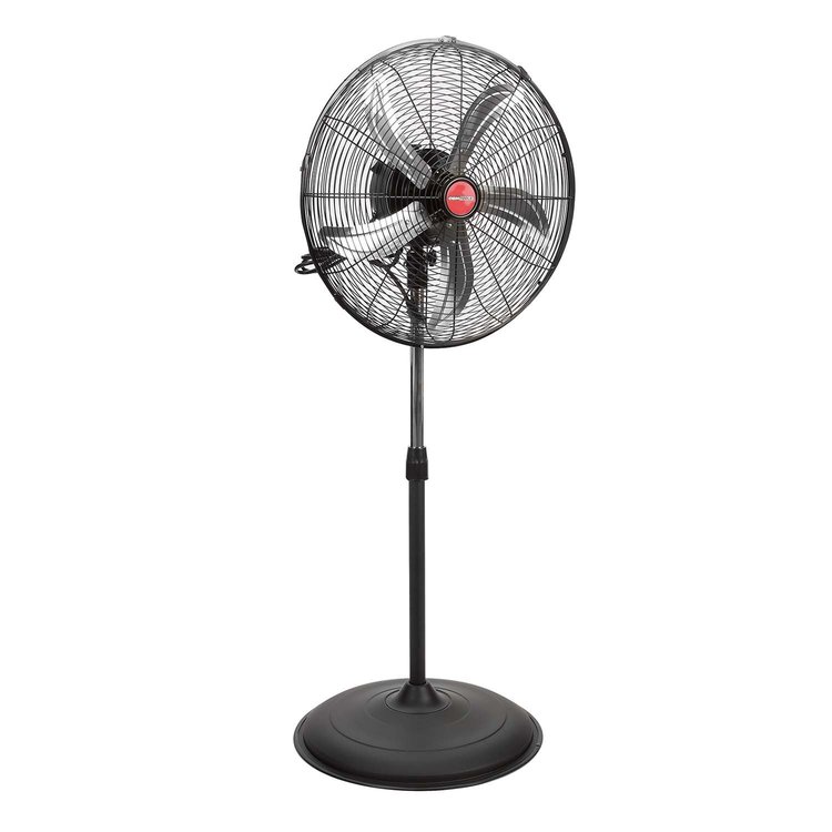 20 in. Oscillating Pedestal Fan