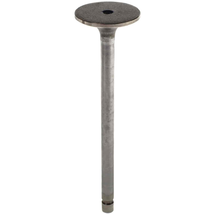 Intake Valve for Cummins C ISC and ISL Engines