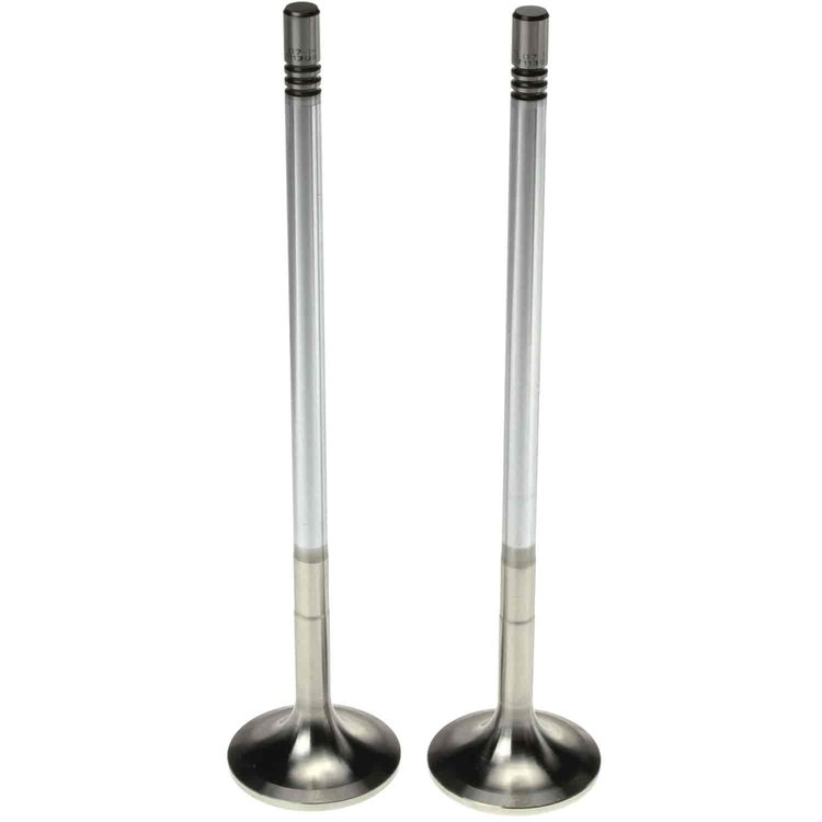 Intake Valve