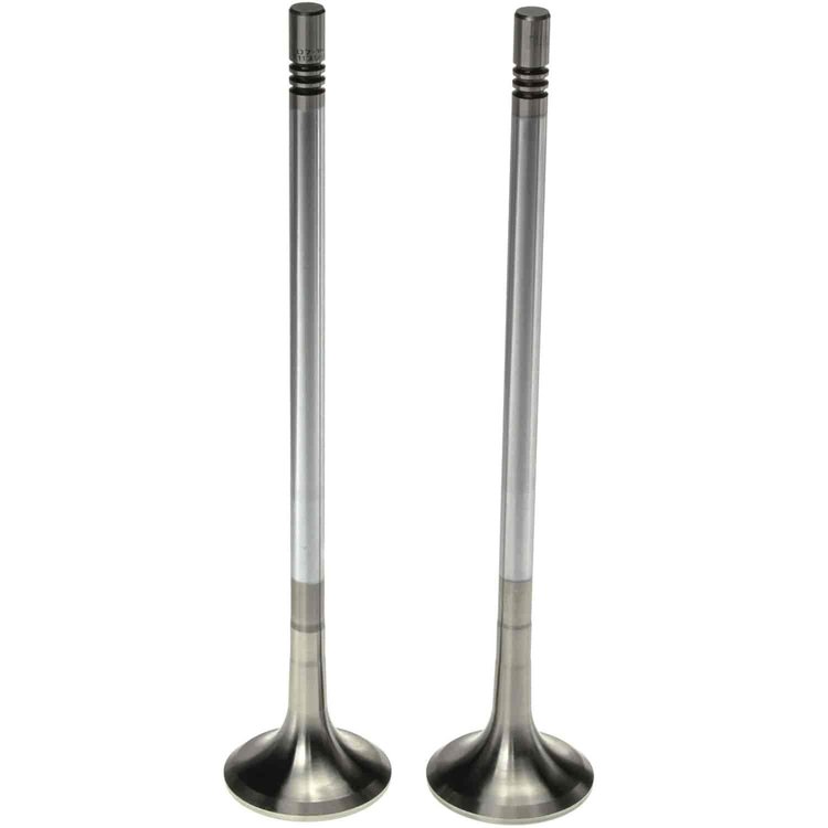 Exhaust Valve
