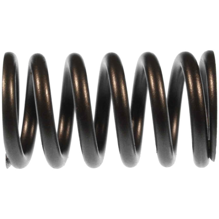 Valve Springs for Cummins C Series Engines