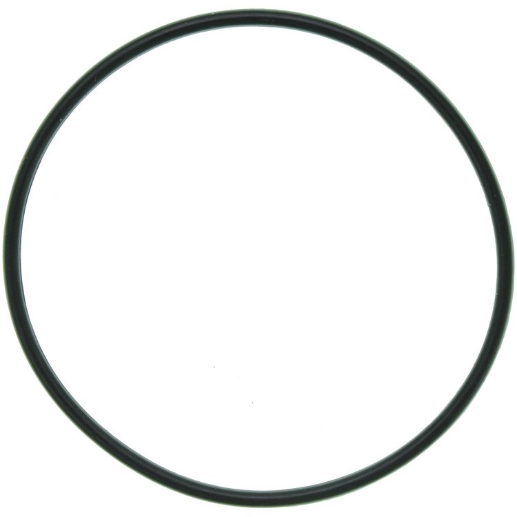 Thermostat O-Ring Ford Truck V8 363 6.0L Diesel Powerstroke 2003-2010