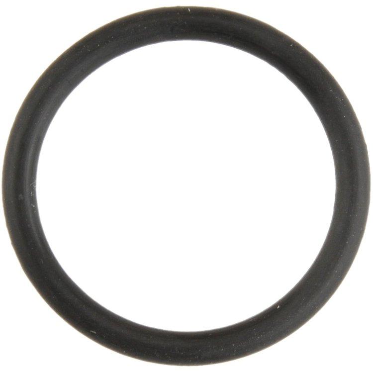 Water Pipe Sealing Ring BMW 3.0L 4.4L DOHC 1994-2003